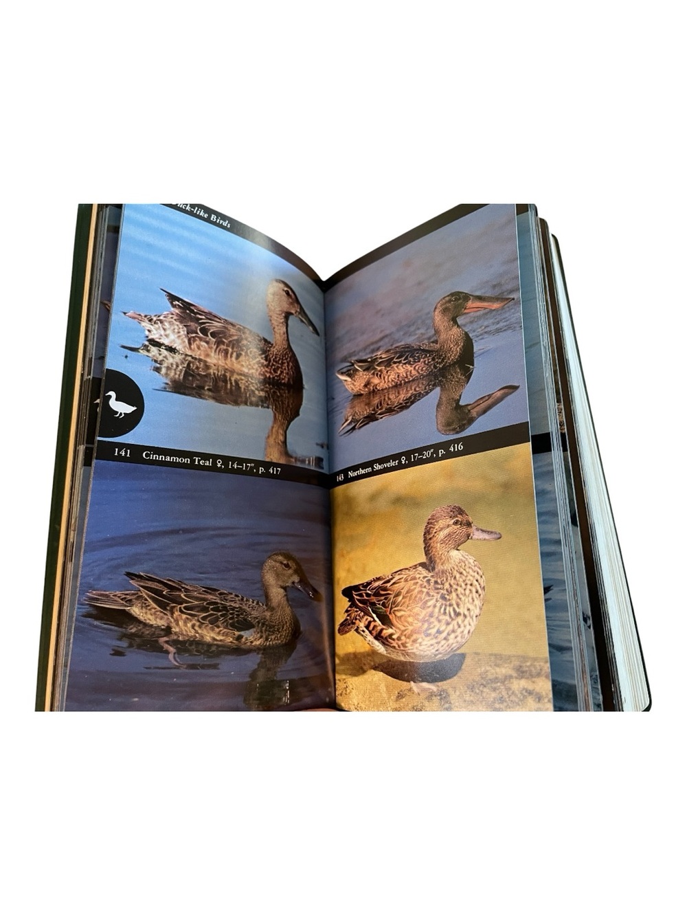The Audubon Society Field Guide to North American Birds Eastern Region  1988